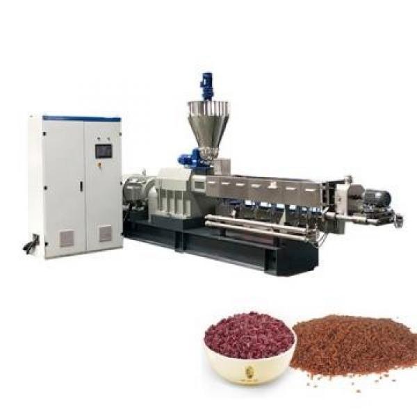 150kg/H Artificial Rice Processing Machine #2 image