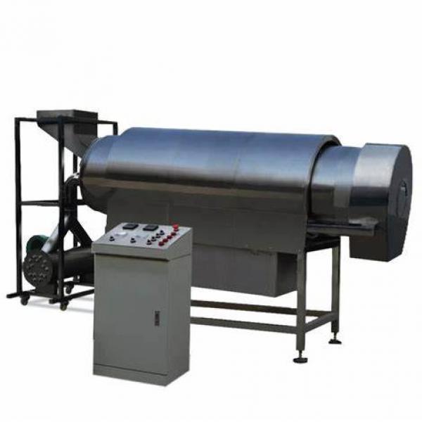 150kg/H Artificial Rice Processing Machine #1 image