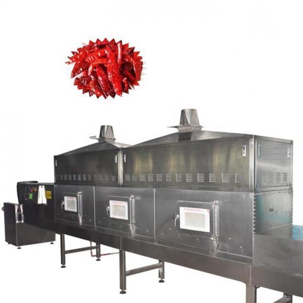 Temperature Vacuum Microwave Fruit Vegetable Drying Dryer Machine #2 image