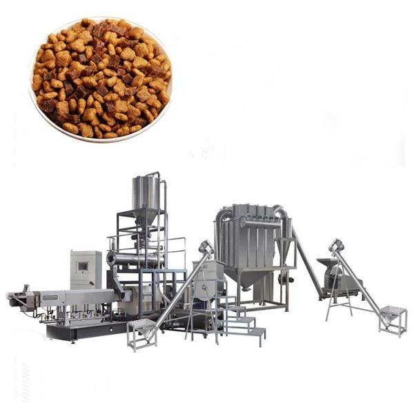 Large Fruit Dryer/Pet/Honey/Food/Chicken Freeze Drying Processing Equipment #1 image