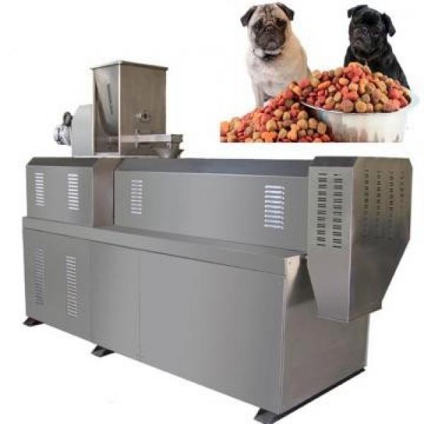 Large Fruit Dryer/Pet/Honey/Food/Chicken Freeze Drying Processing Equipment #2 image