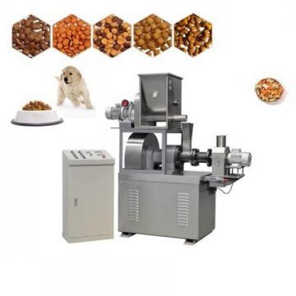 Large Fruit Dryer/Pet/Honey/Food/Chicken Freeze Drying Processing Equipment #3 image