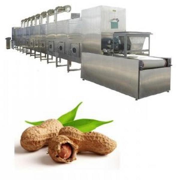 Turmeric Tunnel Microwave Drying Sterilization Machine #1 image